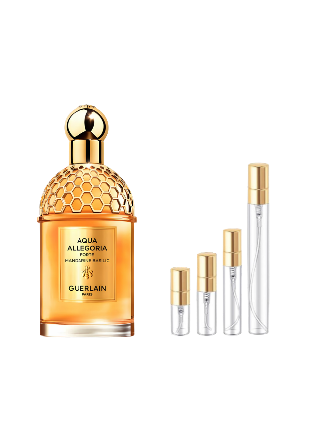 Guerlain Aqua Allegoria Forte Mandarine Basilic Fragrance Samples | Authentic Decants (2ml, 3ml, 5ml, 10ml)